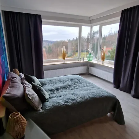 Haus Westharz Goslar شقة *