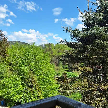 Haus Westharz Goslar شقة