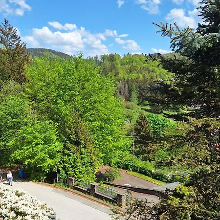 Haus Westharz Goslar Appartement