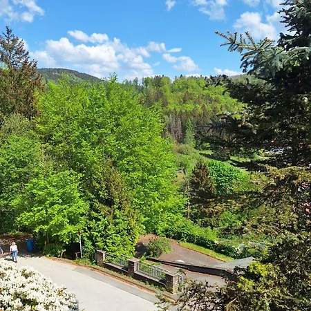 Haus Westharz Goslar Lejlighed