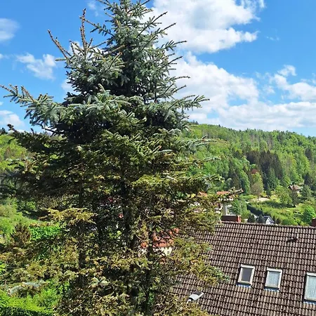 Lejlighed Haus Westharz Goslar