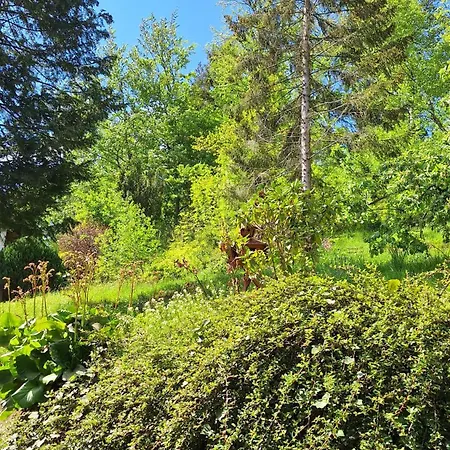 Haus Westharz Goslar Lejlighed