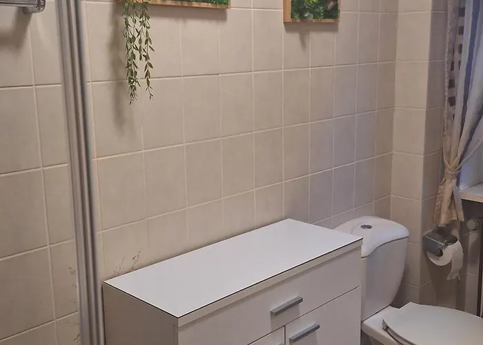 Haus Westharz Goslar 公寓