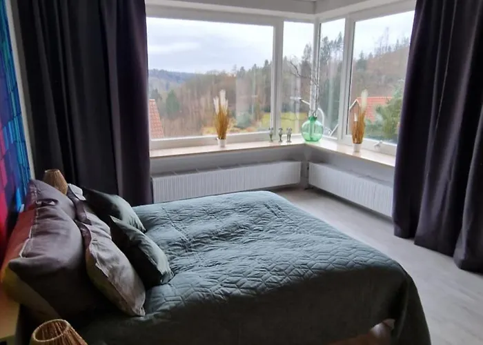 Haus Westharz Goslar 公寓 *