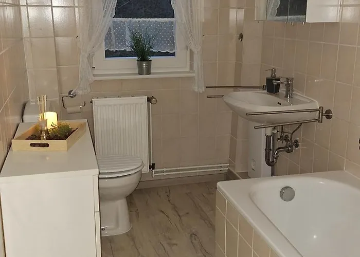 公寓 Haus Westharz Goslar 巴特格伦德