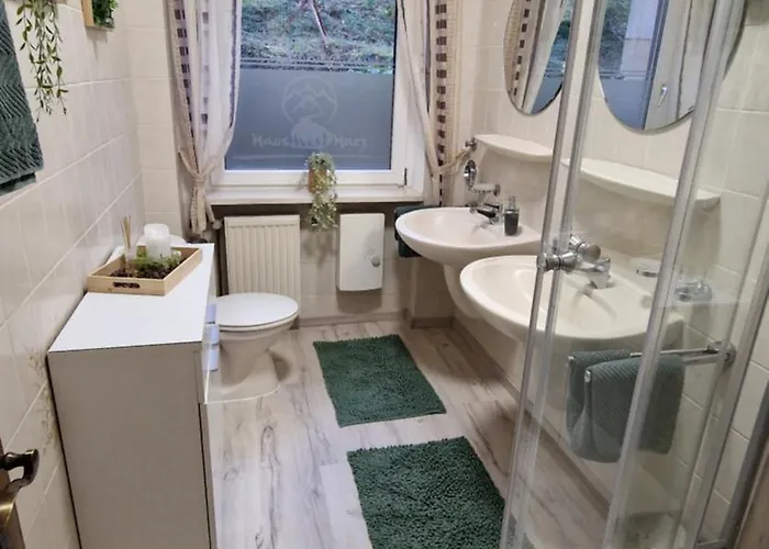 Haus Westharz Goslar 公寓 *