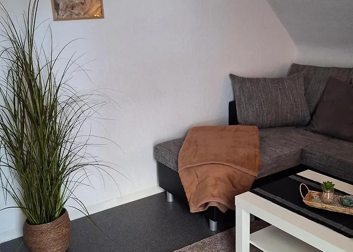 公寓 Haus Westharz Goslar 巴特格伦德