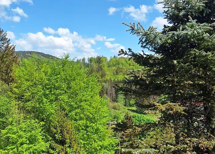 Haus Westharz Goslar 公寓