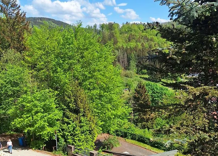 Haus Westharz Goslar 公寓