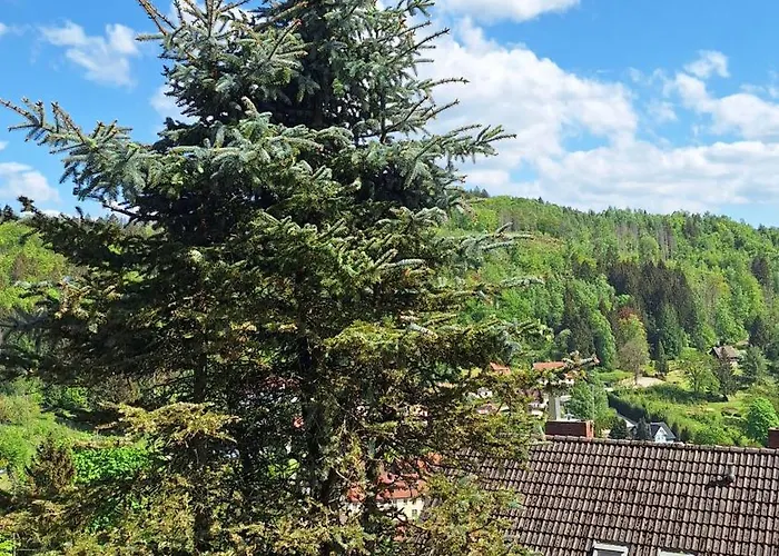 公寓 Haus Westharz Goslar