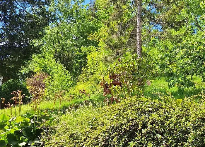 Haus Westharz Goslar 公寓